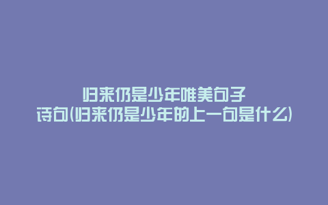 归来仍是少年唯美句子诗句(归来仍是少年的上一句是什么)