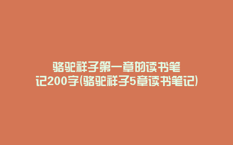 骆驼祥子第一章的读书笔记200字(骆驼祥子5章读书笔记)