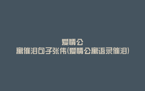 爱情公寓催泪句子张伟(爱情公寓语录催泪)