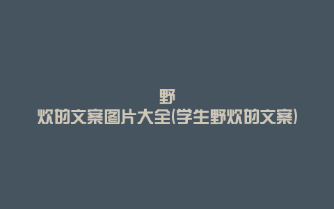野炊的文案图片大全(学生野炊的文案)