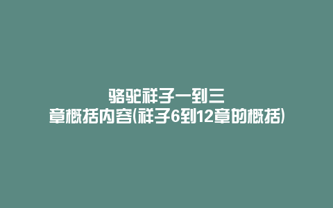 骆驼祥子一到三章概括内容(祥子6到12章的概括)