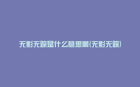 无影无踪是什么意思啊(无影无踪)