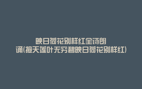 映日荷花别样红全诗朗诵(接天莲叶无穷碧映日荷花别样红)