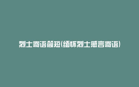 烈士寄语简短(缅怀烈士感言寄语)