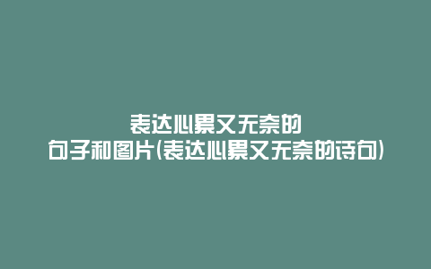 表达心累又无奈的句子和图片(表达心累又无奈的诗句)