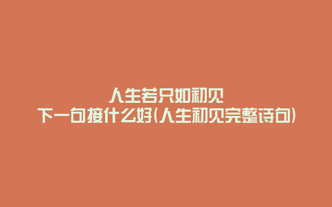 人生若只如初见下一句接什么好(人生初见完整诗句)