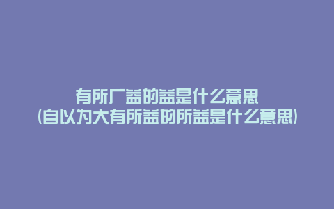 有所广益的益是什么意思(自以为大有所益的所益是什么意思)