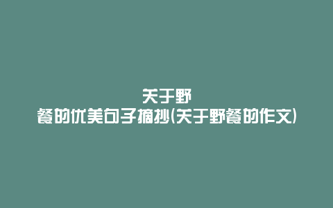 关于野餐的优美句子摘抄(关于野餐的作文)