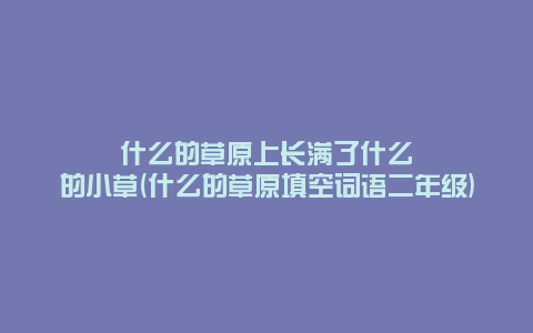 什么的草原上长满了什么的小草(什么的草原填空词语二年级)