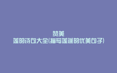 赞美莲的诗句大全(描写莲蓬的优美句子)