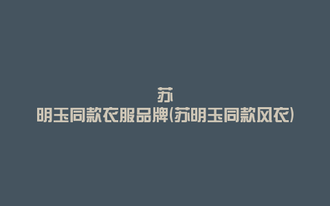 苏明玉同款衣服品牌(苏明玉同款风衣)