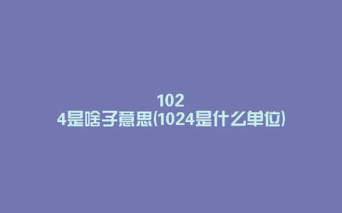 1024是啥子意思(1024是什么单位)
