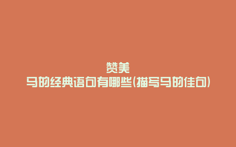 赞美马的经典语句有哪些(描写马的佳句)