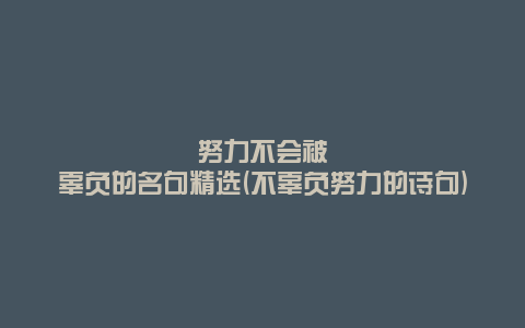 努力不会被辜负的名句精选(不辜负努力的诗句)