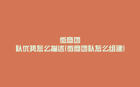 微商团队优势怎么描述(微商团队怎么组建)