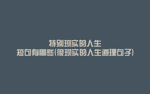 特别现实的人生短句有哪些(很现实的人生道理句子)