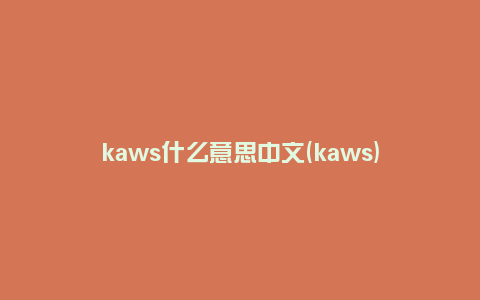 kaws什么意思中文(kaws)