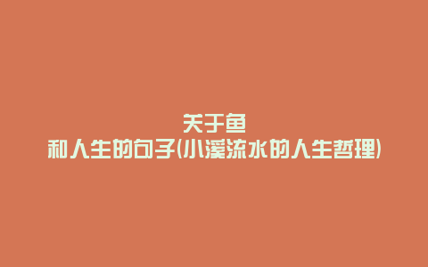 关于鱼和人生的句子(小溪流水的人生哲理)