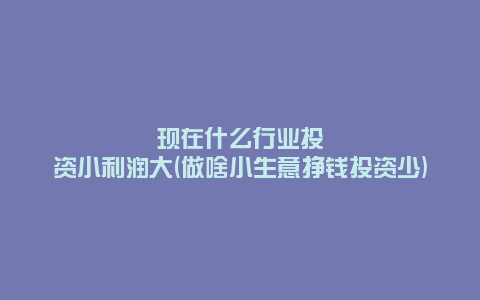 现在什么行业投资小利润大(做啥小生意挣钱投资少)