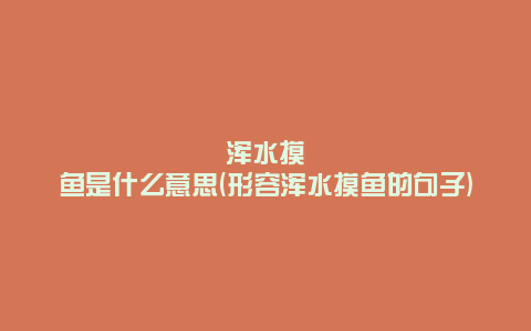 浑水摸鱼是什么意思(形容浑水摸鱼的句子)