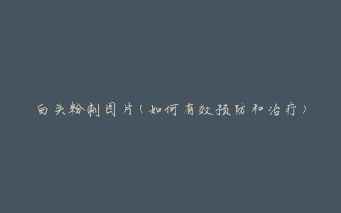 白头粉刺图片(如何有效预防和治疗)