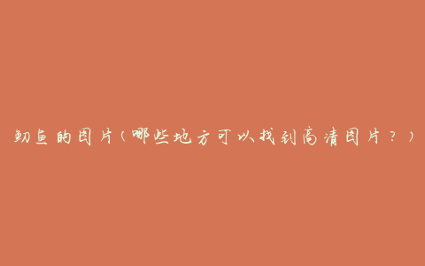 鱽鱼的图片(哪些地方可以找到高清图片？)