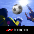 快乐5人足球游戏中文版 v1.1.0
