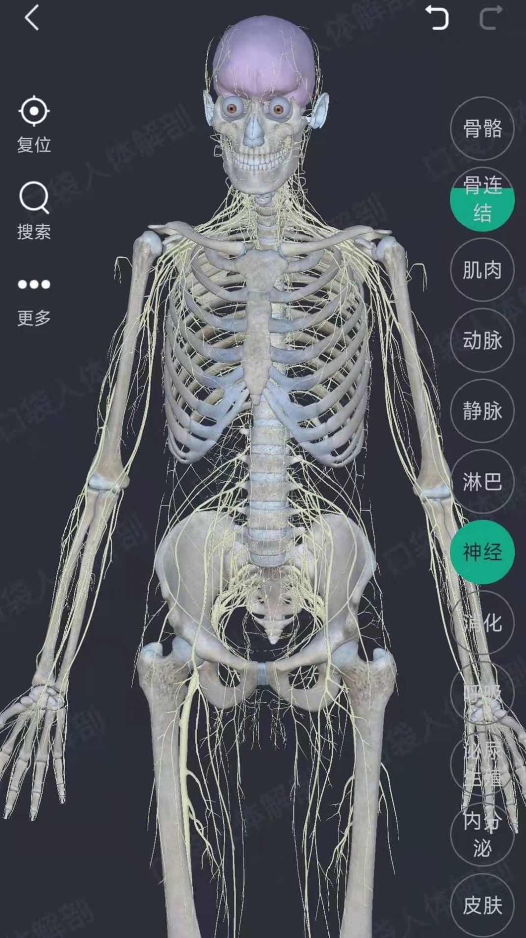万康人体解剖app最新版图片1