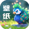  孔雀壁纸app