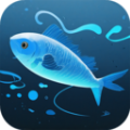 大鱼潮汐表app