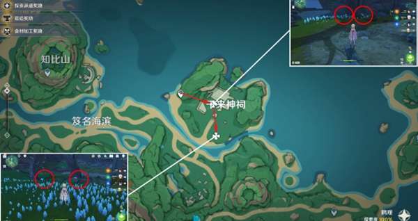 《原神》幽灯蕈在哪采集