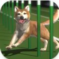 Top Dogs游戏手机版下载 v0.0.4
