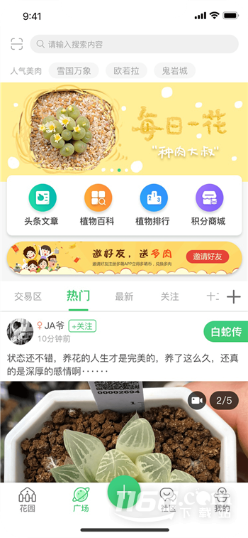 多萌