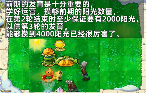 植物大战僵尸杂交版随机盲盒