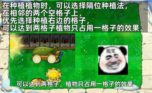 植物大战僵尸杂交版随机盲盒