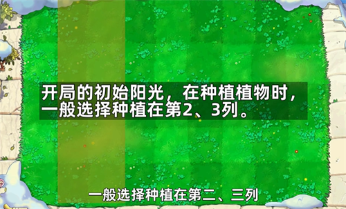植物大战僵尸杂交版随机盲盒