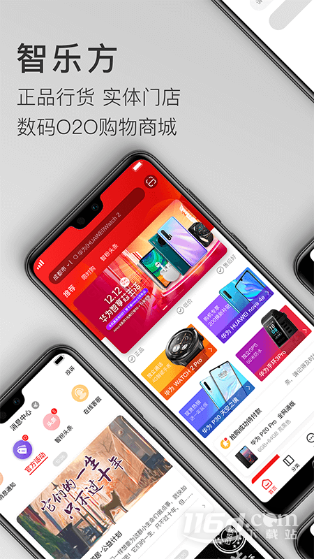 智乐方