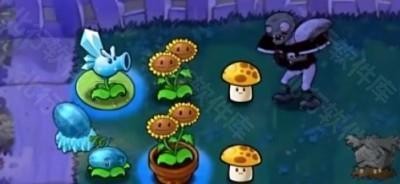 植物大战僵尸生态版截图