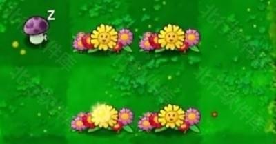 植物大战僵尸生态版截图