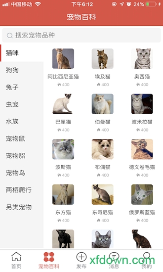得宠领养app下载