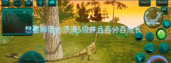 诅咒之岛