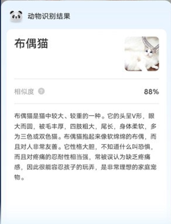 快捷扫描王