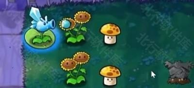 植物大战僵尸生态版截图