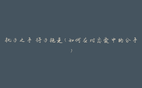 执子之手 将子拖走(如何应对恋爱中的分手)