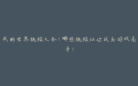 我的世界视频大全(哪些视频让你成为游戏高手)