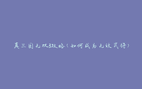 真三国无双3攻略(如何成为无敌武将)