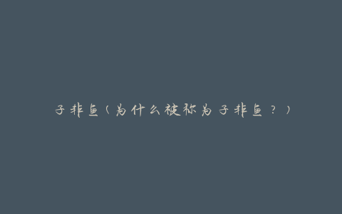 子非鱼(为什么被称为子非鱼？)