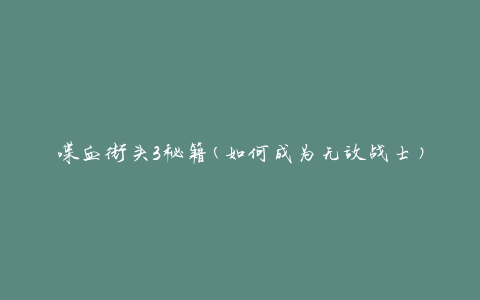 喋血街头3秘籍(如何成为无敌战士)