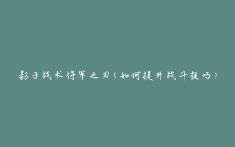 影子战术将军之刃(如何提升战斗技巧)