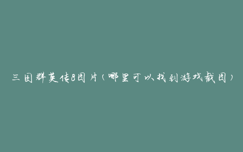 三国群英传8图片(哪里可以找到游戏截图)